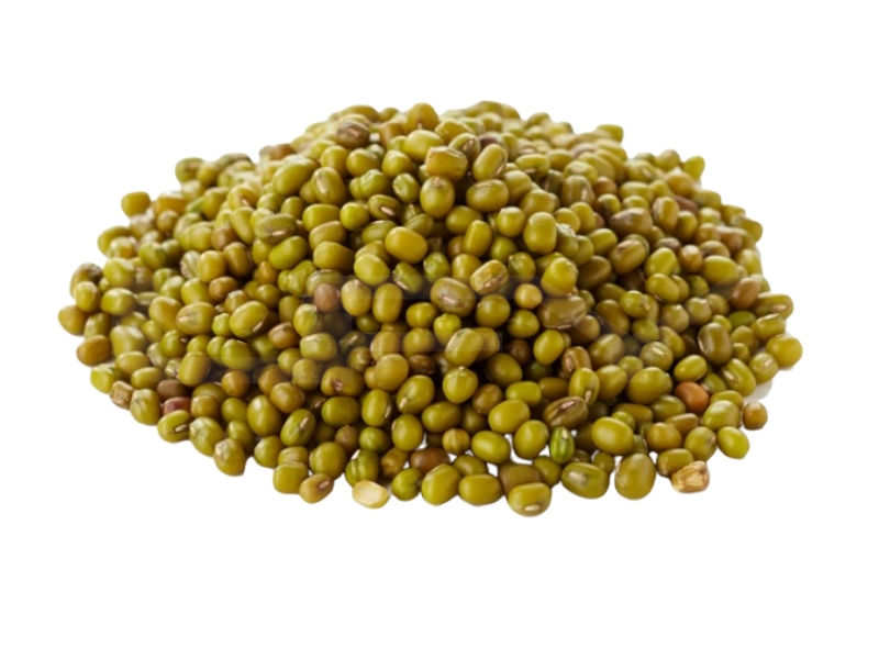 Kacang Hijau / Green Bean / 绿豆